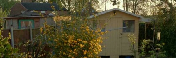 DaisyFluffyBoo Profile Banner