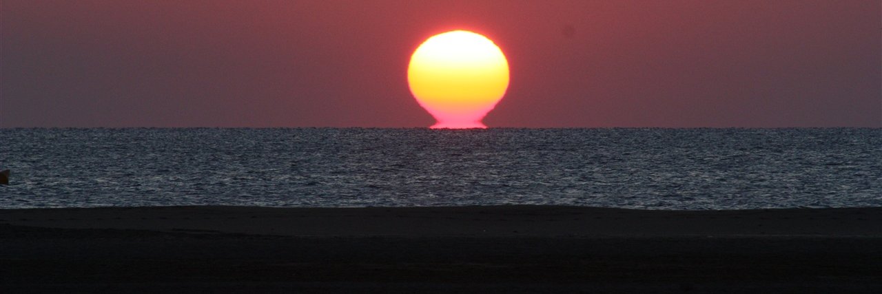 Andreas Fleischmann banner