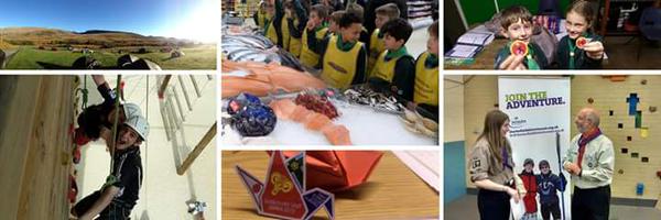 SpireScoutMedia Profile Banner