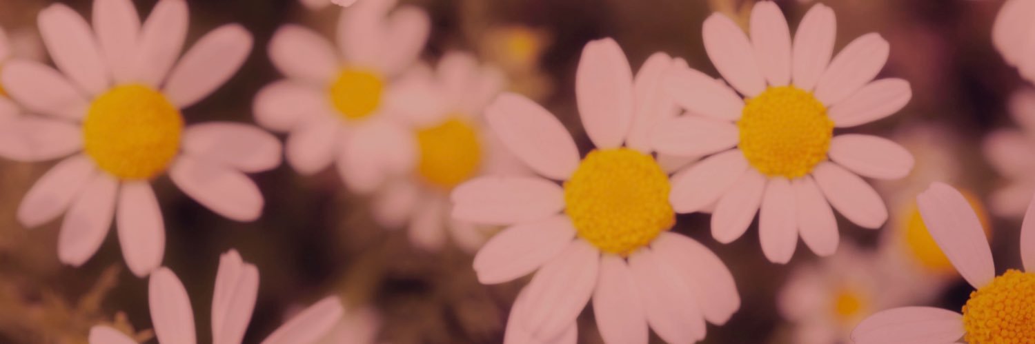 synsims's profile banner image