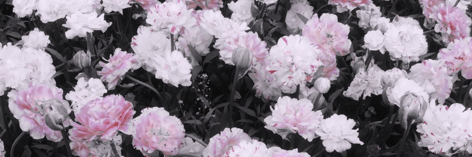 0_md5's profile banner image