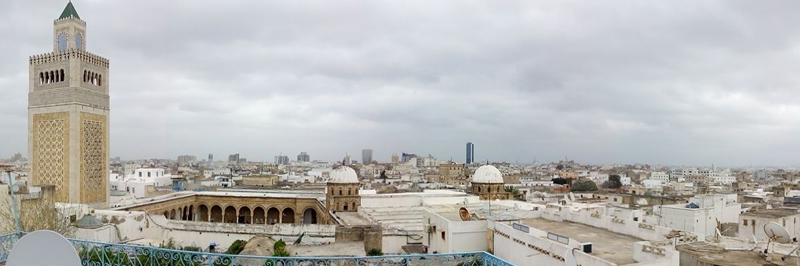 Laura Arau فلسطين حرة banner