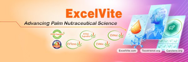 excelvite Profile Banner