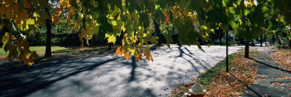 WoodbridgeRPA's profile banner image