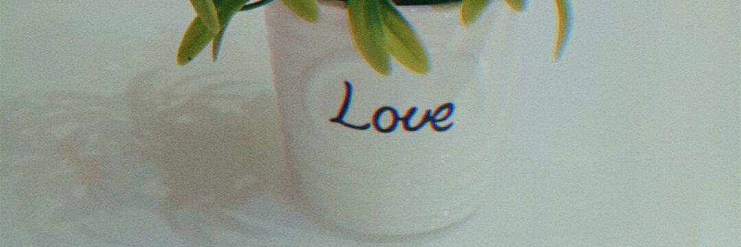 hee_nar's profile banner image