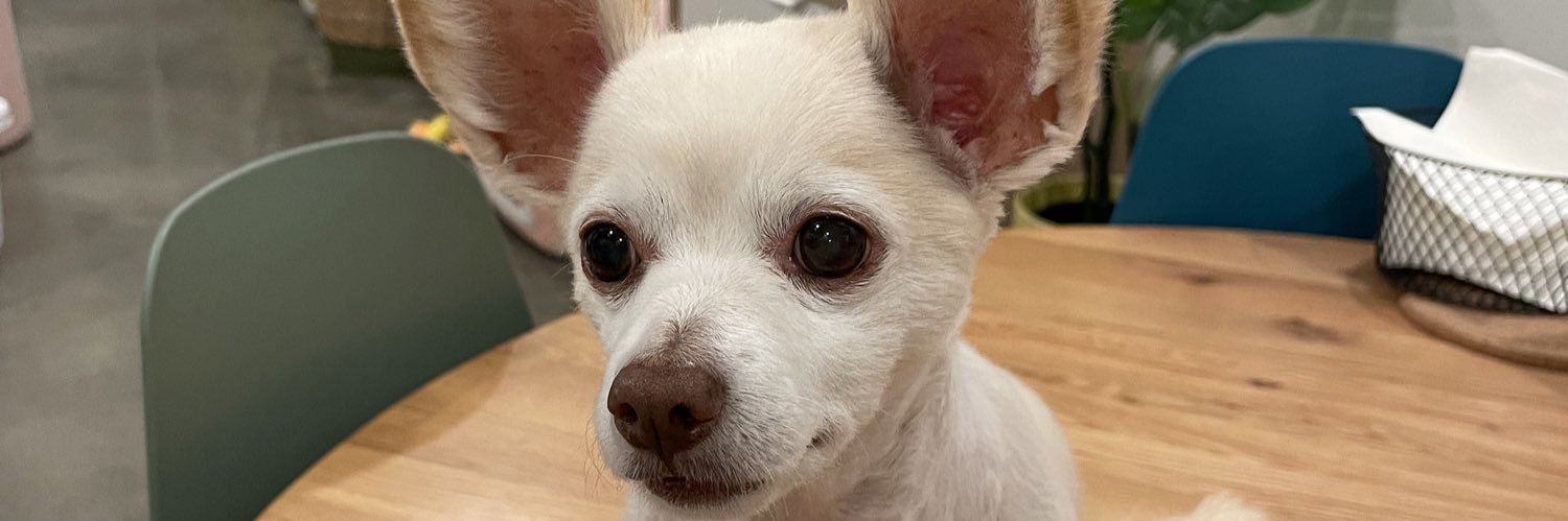 STAN CAM GIRL banner