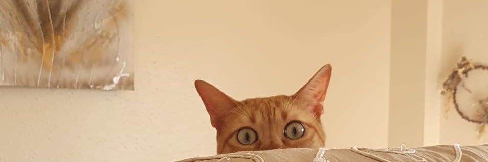 karimkj_'s profile banner image