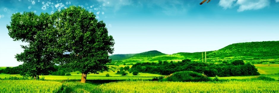 VIKRAM_SinghSEO's profile banner image