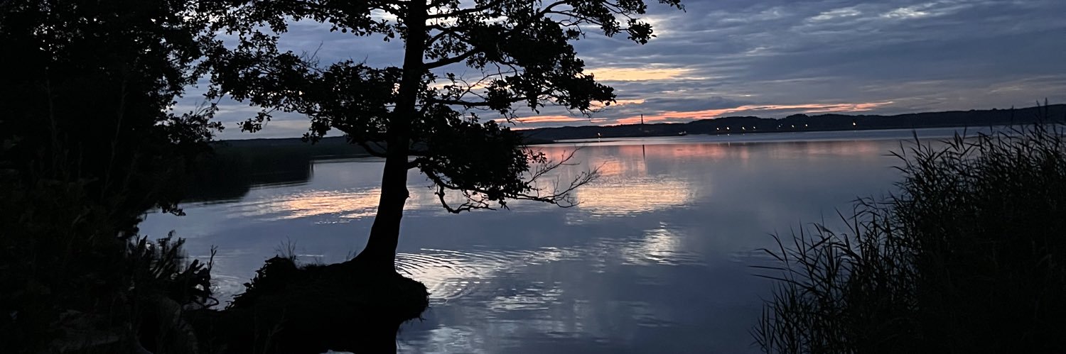 Skapaans's profile banner image