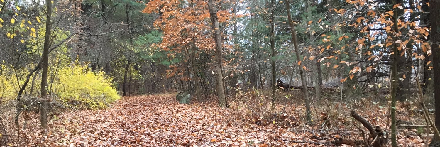 joetringale's profile banner image