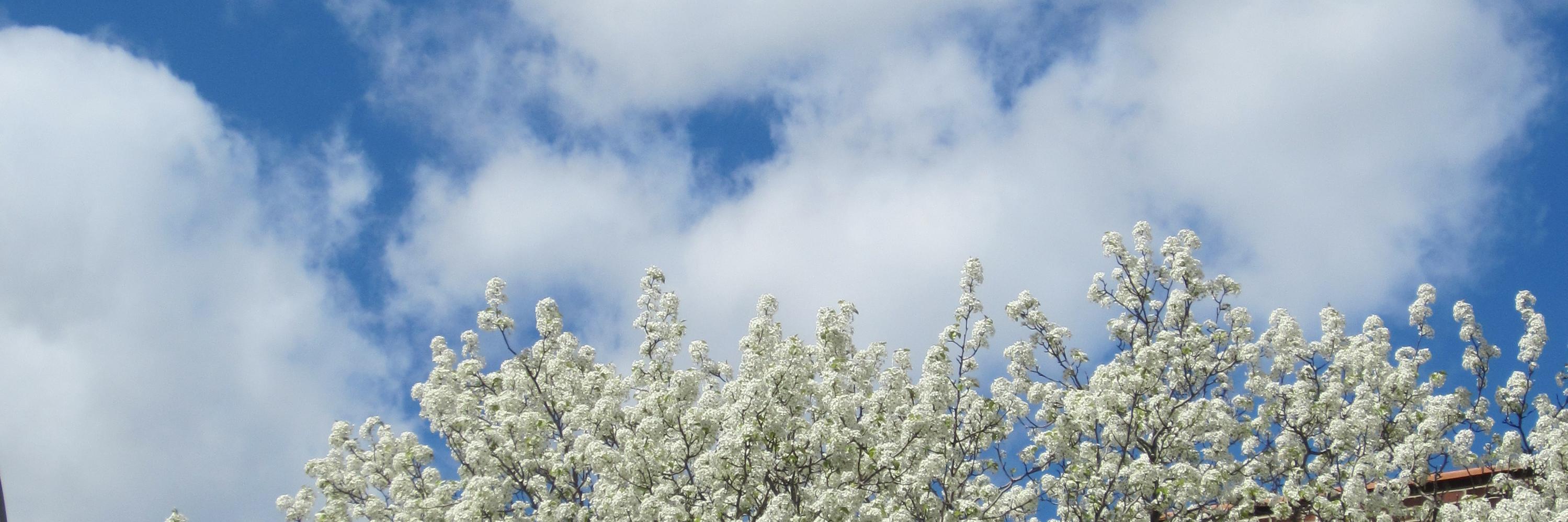 EmilioSegares's profile banner image