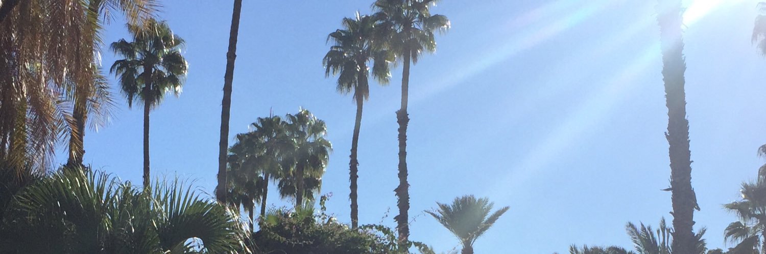 🌸 banner