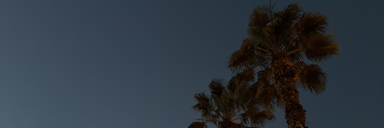 Pablo Romero banner