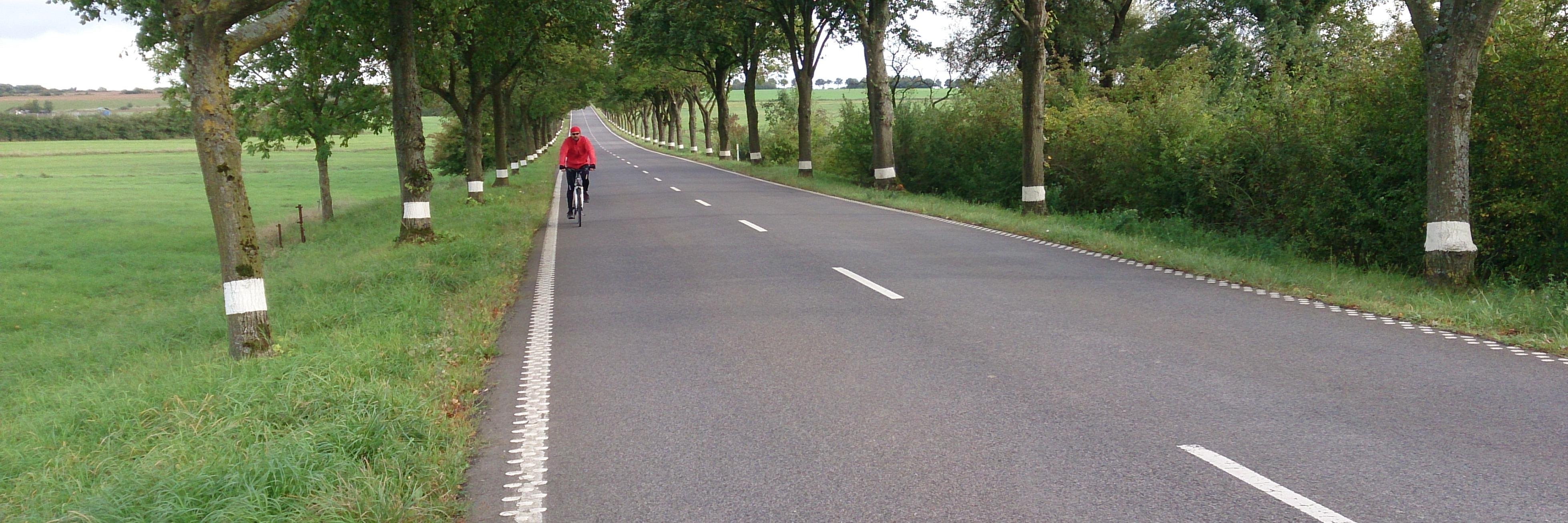 TourDeThyroid's profile banner image