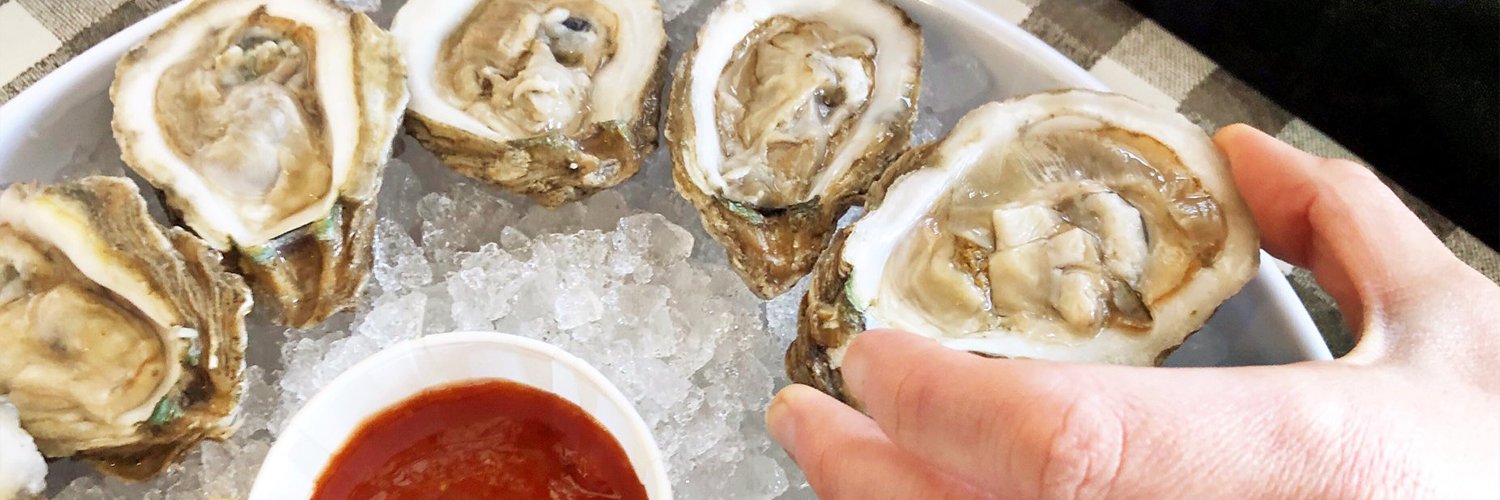 FlyingFishFood's profile banner image
