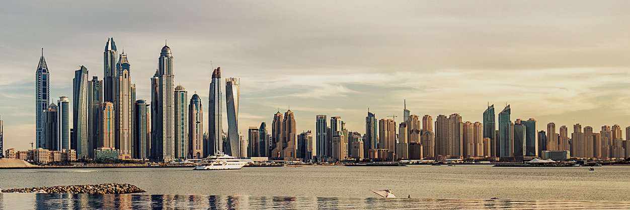 Loggerhead Partners banner