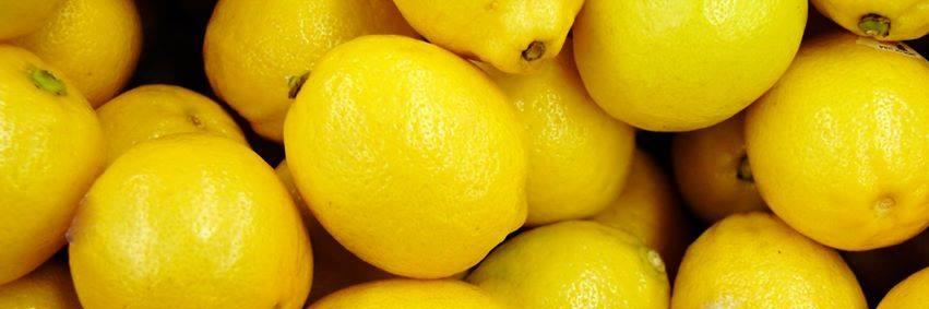 Lemonalelover's profile banner image