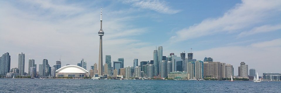 Nedlog1981's profile banner image