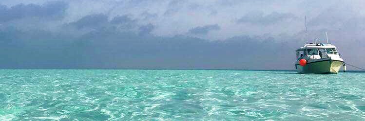 abo_odi_16's profile banner image