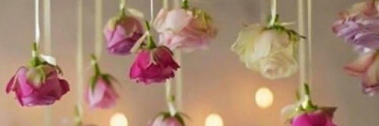 folahe's profile banner image
