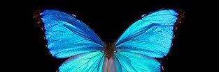 Design__Chic's profile banner image