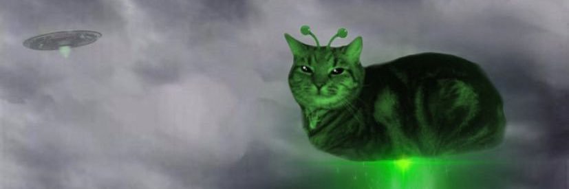 noraomighty's profile banner image