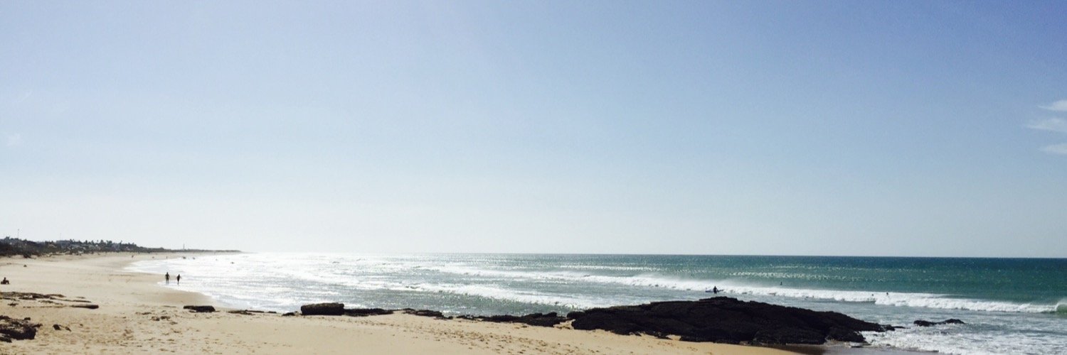 John van Vianen banner