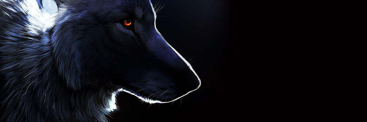 javierZ2811's profile banner image