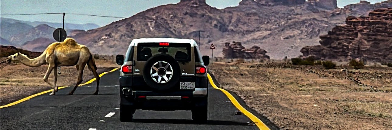 Tomasdose's profile banner image