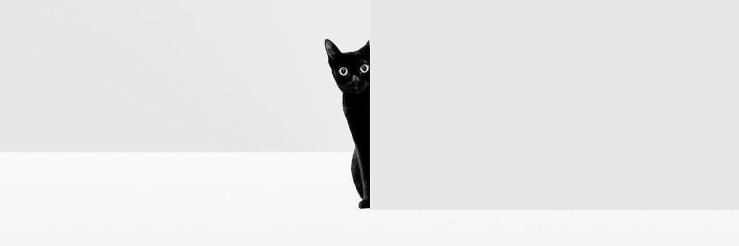 Ksoko81's profile banner image