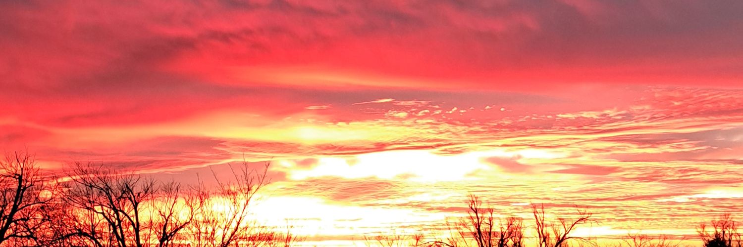 Minnietwit's profile banner image