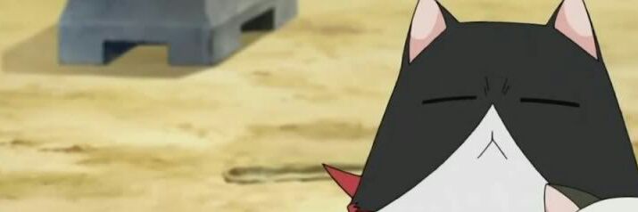 pinpin445's profile banner image
