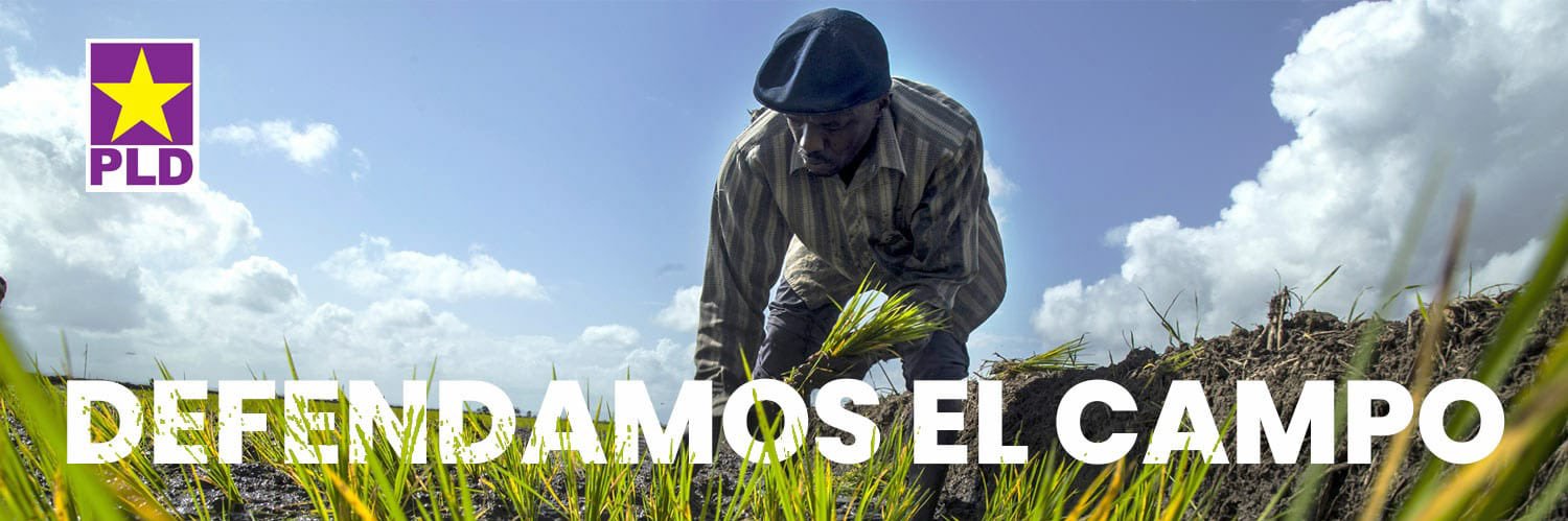 Rafael E. Torres Mejìa banner