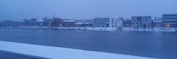 kim nowak🔻 banner