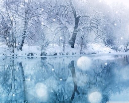 TrickSnowqueen's profile banner image