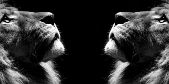 jmich__'s profile banner image