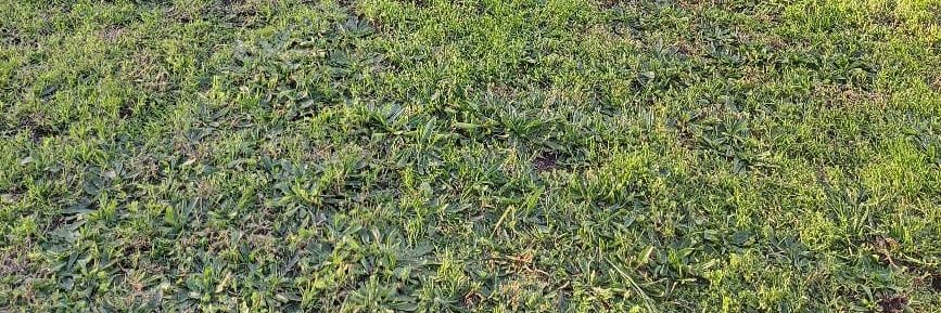 Gremio de Enfermería Chile y el Mundo banner