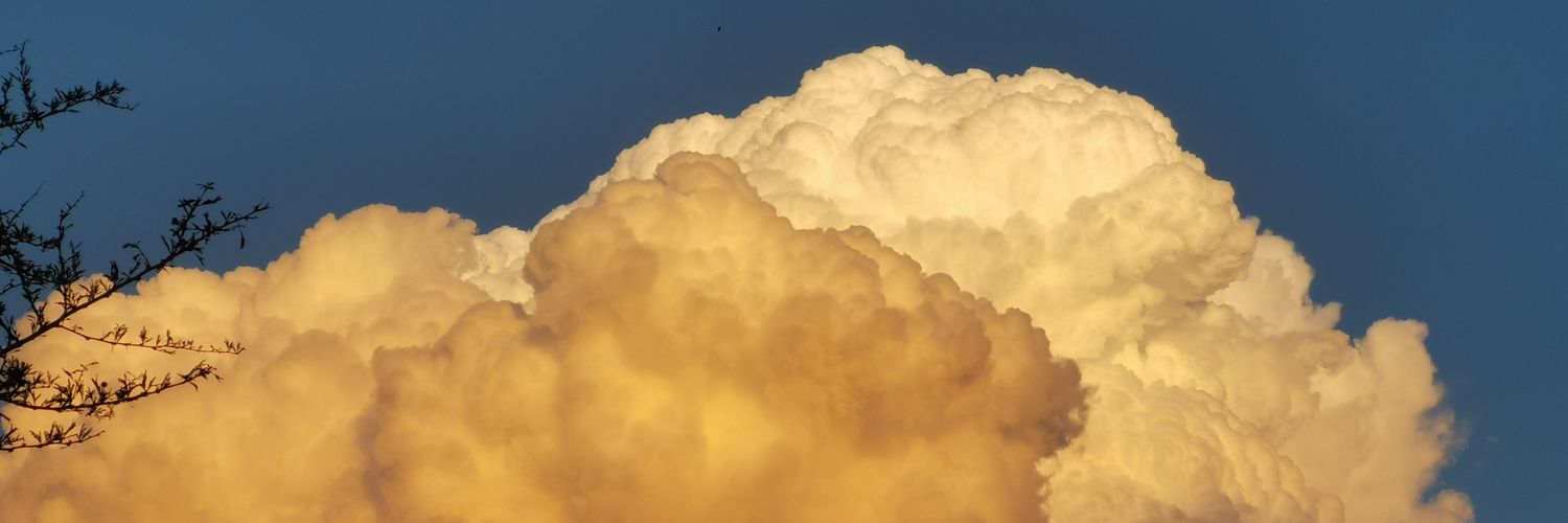 thomashholtz's profile banner image