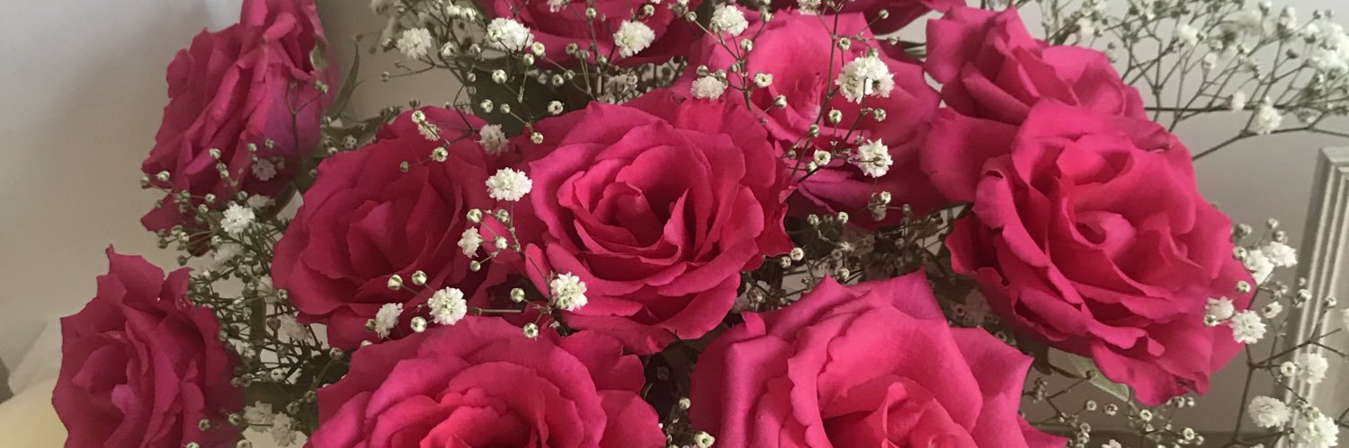 tracypallent72's profile banner image