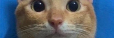 k_t283's profile banner image