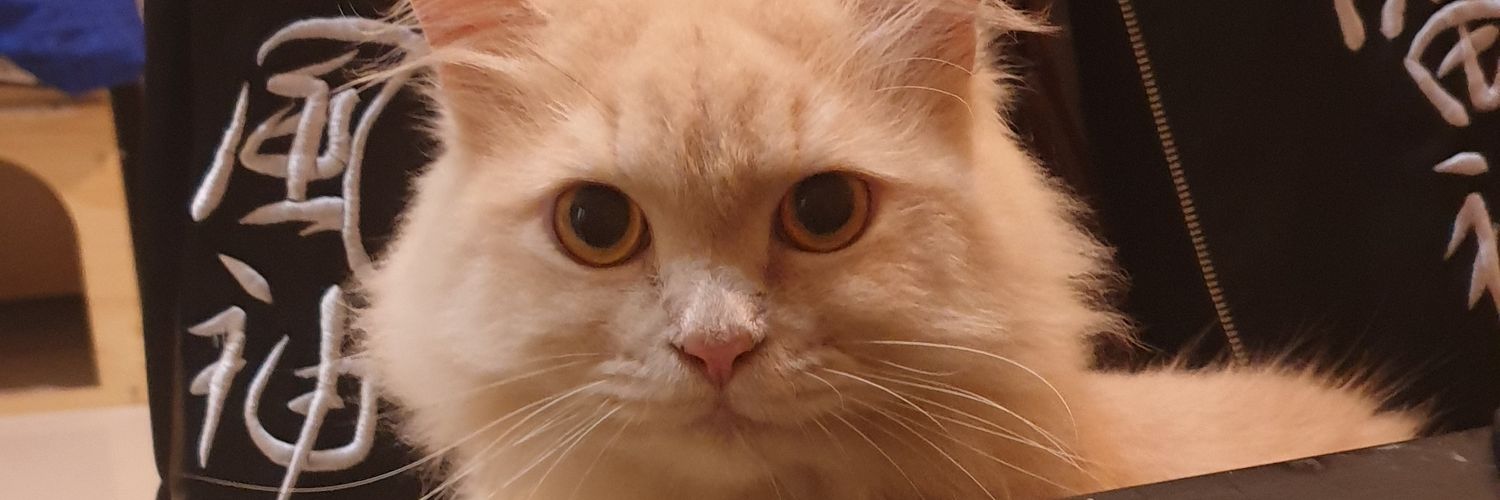 dansurss's profile banner image