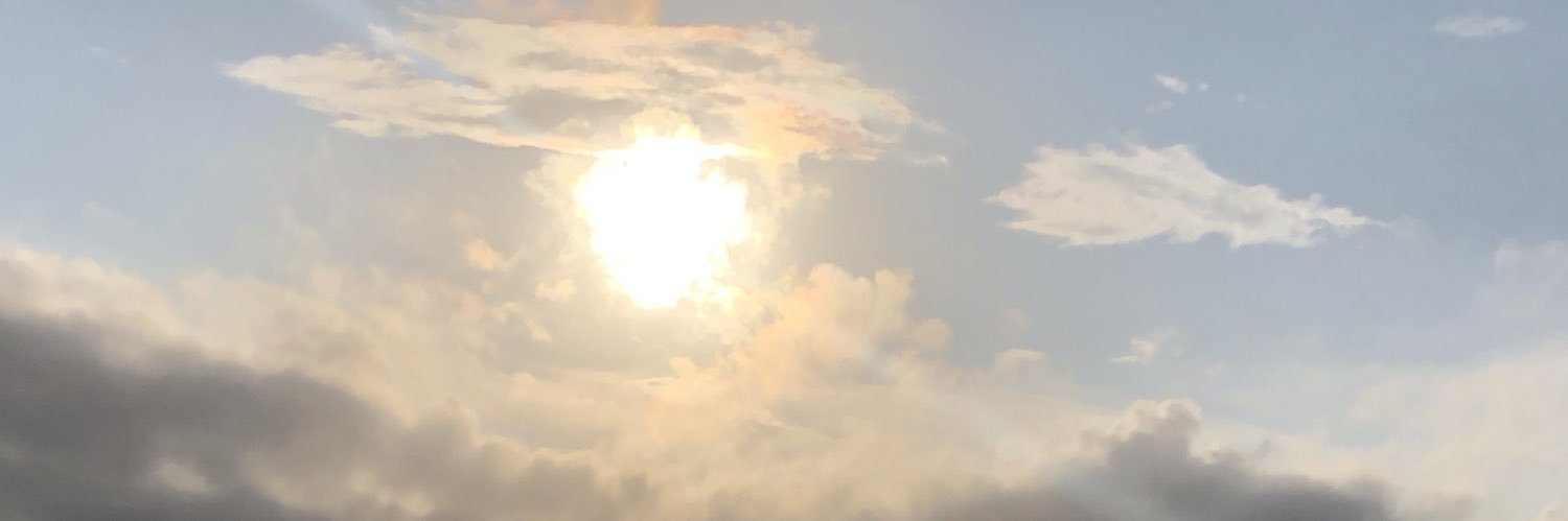 carolinaila's profile banner image