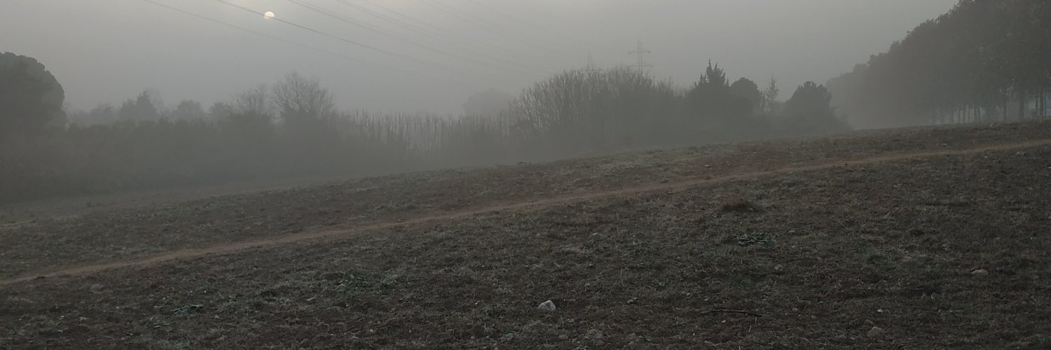 Cristina Alier banner