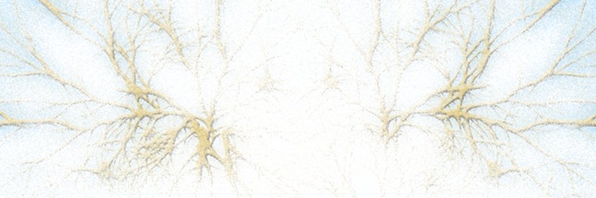 Pasion_PNL's profile banner image