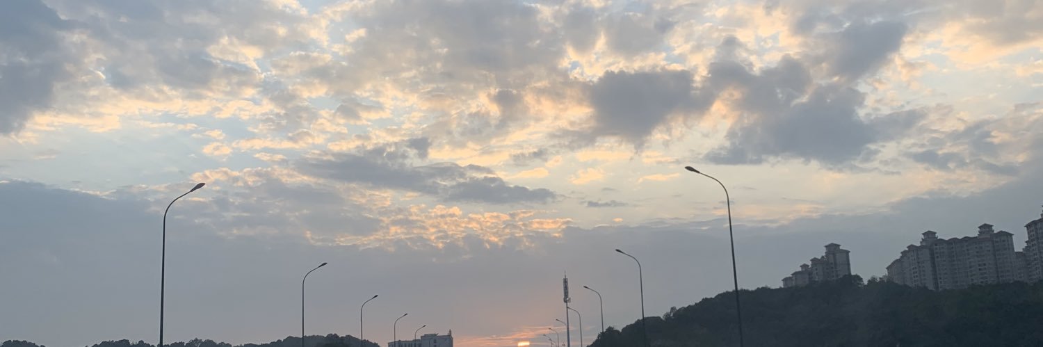 vangloi1's profile banner image