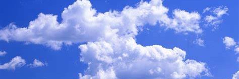 Cecilia the Vicious banner