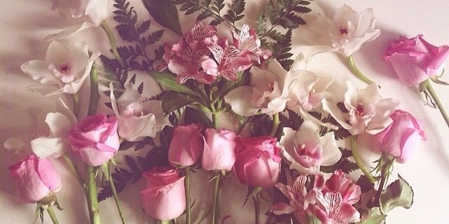 Raghad_ym's profile banner image