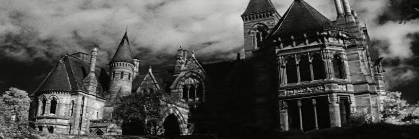 Gatoroso 🇵🇪 banner