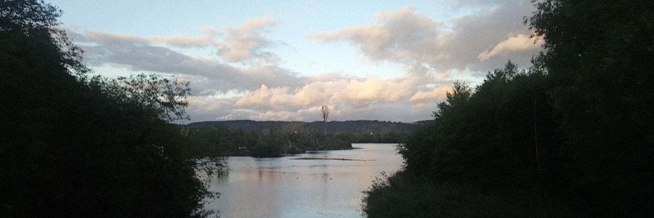 laulaull1's profile banner image