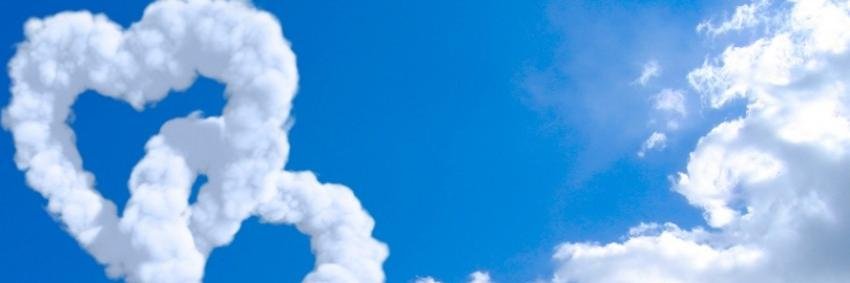 dottiestewart7's profile banner image